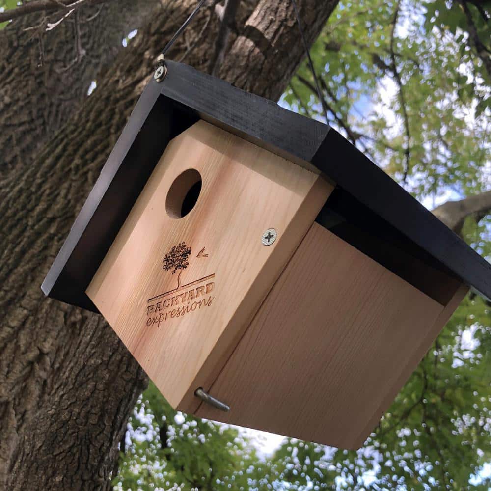 Natural Cedar Triangle Bird House with Black Roof, 8" x 8" x 12"