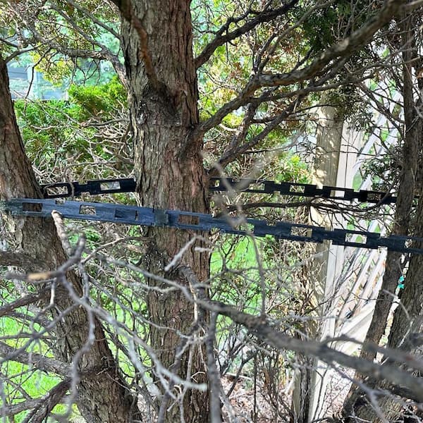Tosulte 1 in. x 100 ft. Black Reusable Plastic Plant Tree Support
