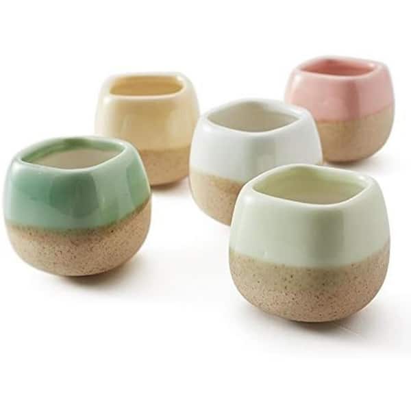 2.2 in. L x 2.2 in. W x 2 in. H Flowing Glaze 5 Color Indoor Ceramic Window Boxes and Throughs Set Planter (5-Pack)