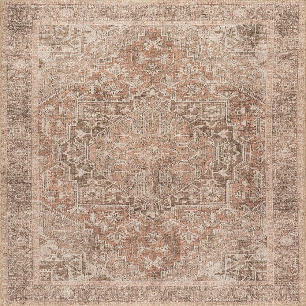 Hillstone Light Brown 6 ft. 7 in. x 9 ft. Traditional Vintage Medallion Area Rug price history on PriceWatchPro