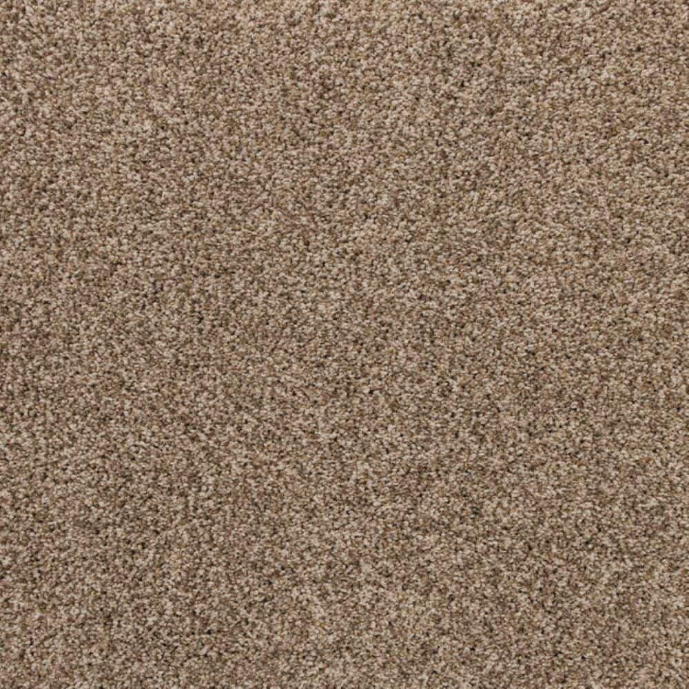 8 in. x 8 in. Texture Carpet Sample-Magalynn I-Color Enchanting price history on PriceWatchPro