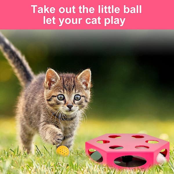 Interactive Cat Maze Box Toy with Multifunctional Ball, Pink