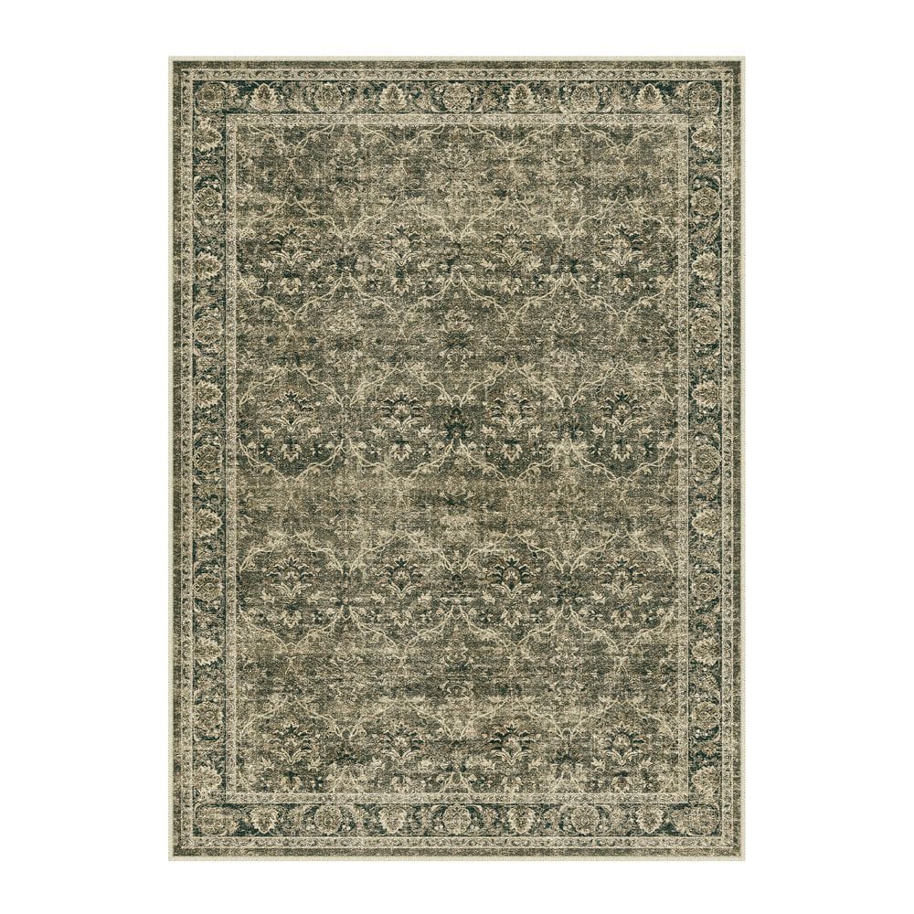 Shimmer Brown 8 ft. x 10 ft. Washable Distressed Vintage Floral Area Rug price history on PriceWatchPro
