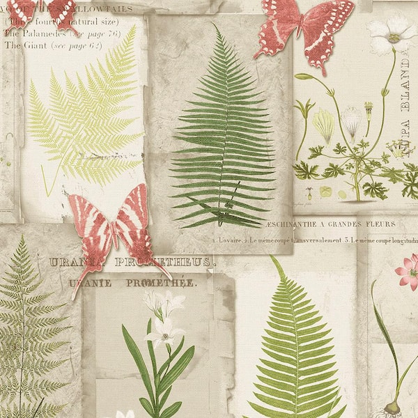 Norwall Parchment Ferns Vinyl Strippable Roll (Covers 56 sq. ft.)
