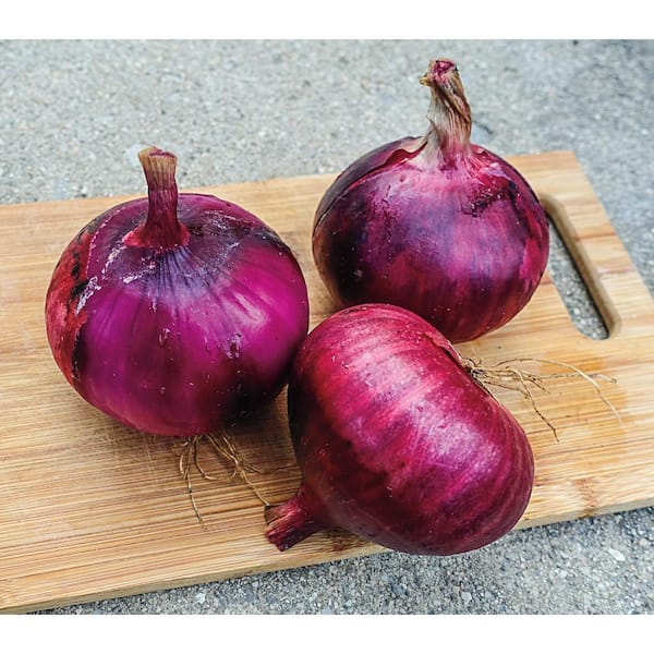 Red Onions Bag, Shop Online, Shopping List, Digital Coupons