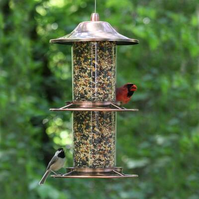 Seed Feeder Bird Feeders Bird Wildlife Supplies The Home Depot