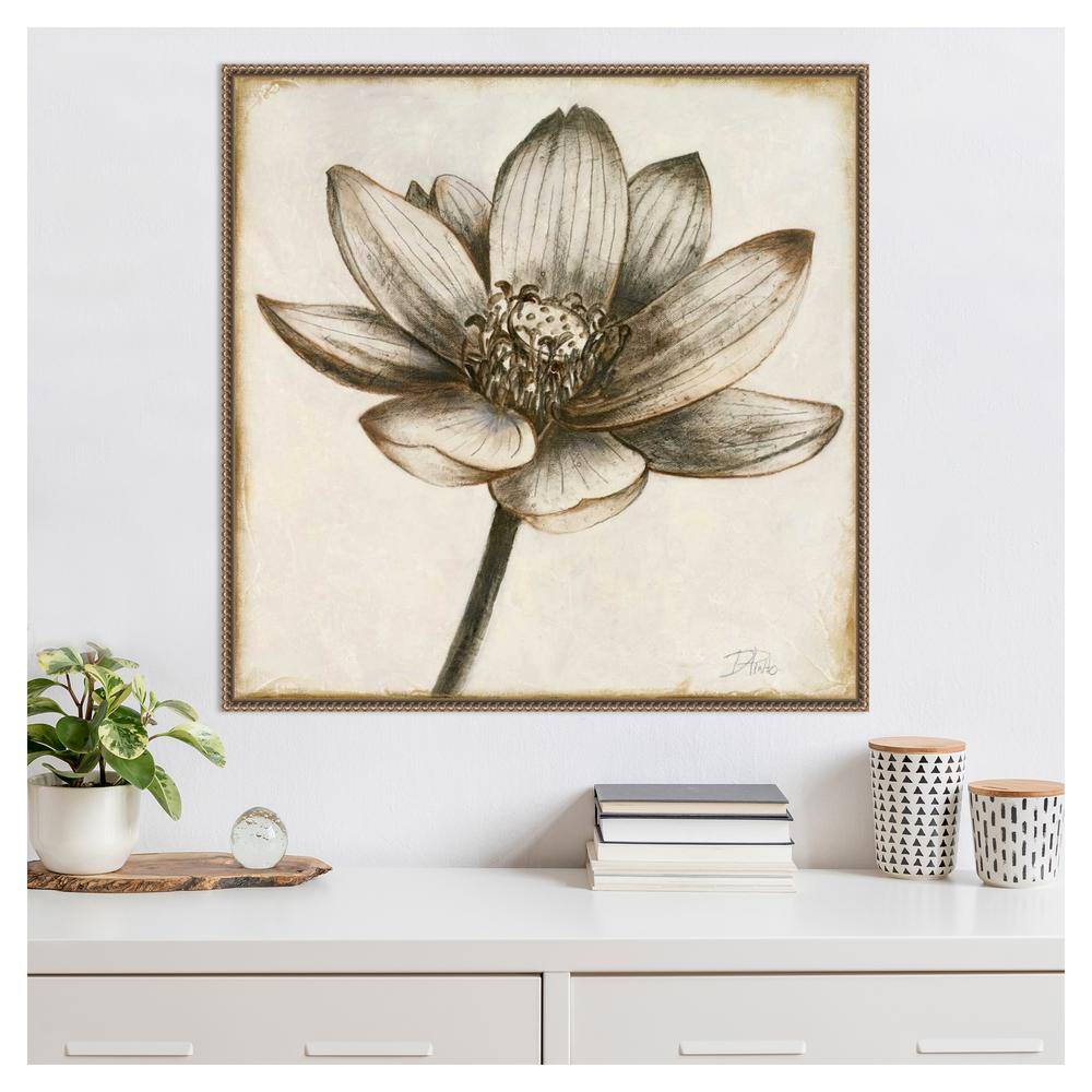 Sepia Lotus Blossom II 30" x 30" Beaded Framed Canvas Wall Art