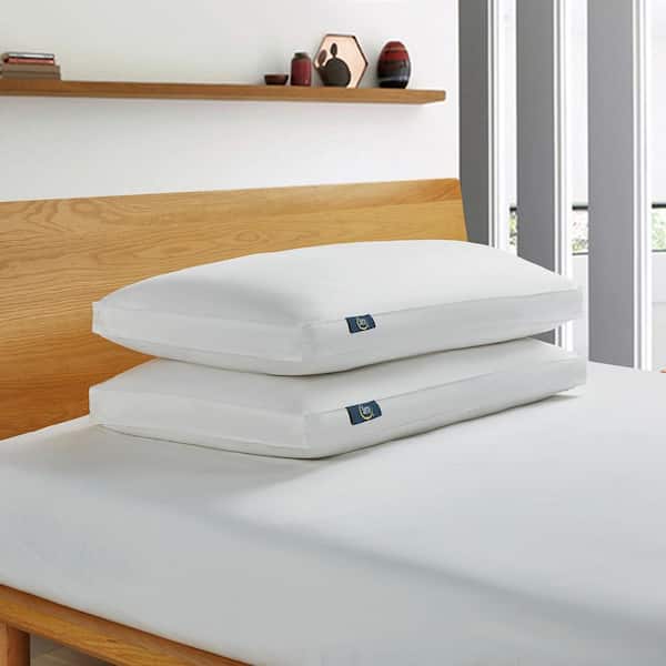 233-Thread Count White Goose Feather Side Sleeper Medium Firm and White Goose Down Fiber King Size Pillow (2-Pack)
