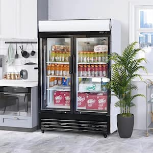 51 in. 31 cu. ft. Commercial Upright Merchandiser Refrigerator in Black with 2-Tempered Glass Door