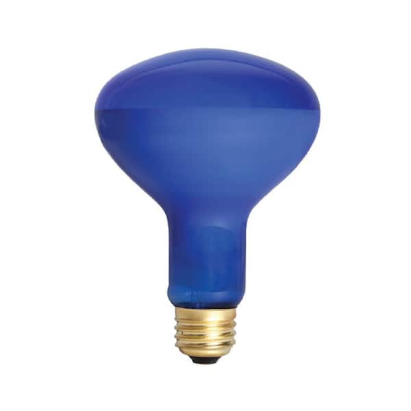 Smart Electric Smart Guardian 45-Watt Incandescent R-20 6-Hour Cycle Timer Plant Light Bulb - Purple
