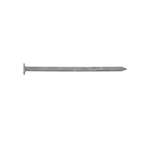 PRO-FIT 2-1/2 in. (8D) Hot Dipped Galvanized Smooth Non-Collated Box Nails 5 lbs. (595-Count)