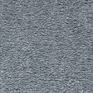 Castle I  - Atlantic - Blue 48 oz. Triexta Texture Installed Carpet