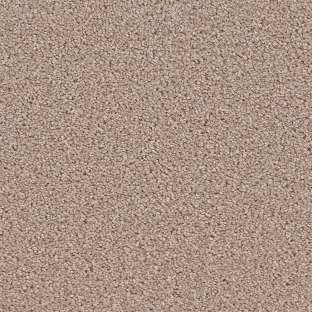 8 in. x  8 in. Texture Carpet Sample - Added Value -Color Captivate price history on PriceWatchPro