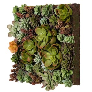 16.5 in. Multi-Colored Artificial Succulent Wall Arrangement on Plaque