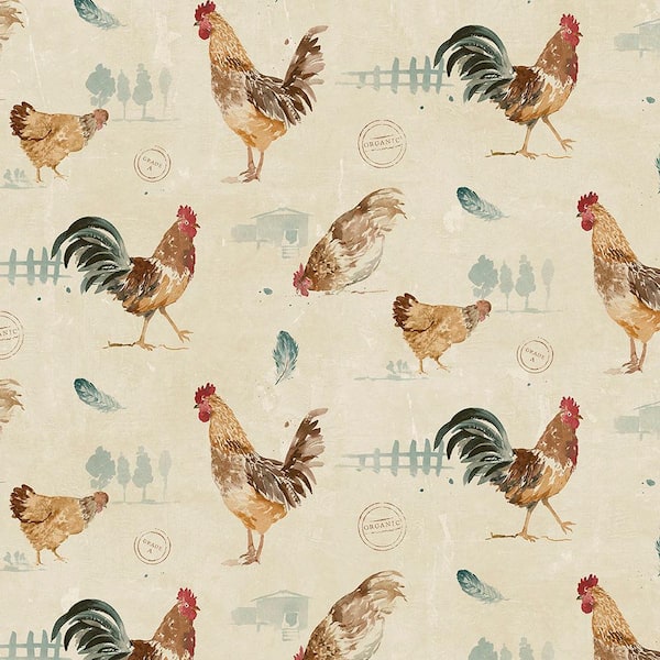 Animal Chicken HD Wallpaper