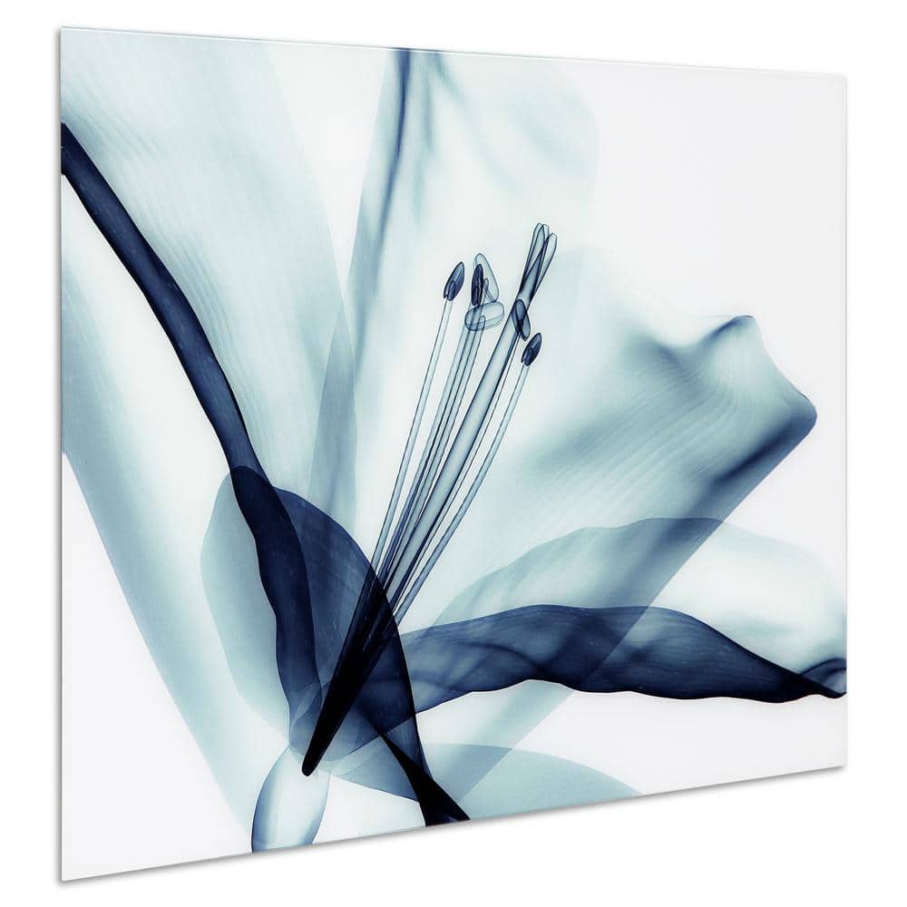 Amaryllis Blue Flower Frameless Tempered Glass Wall Art, 32" x 48"