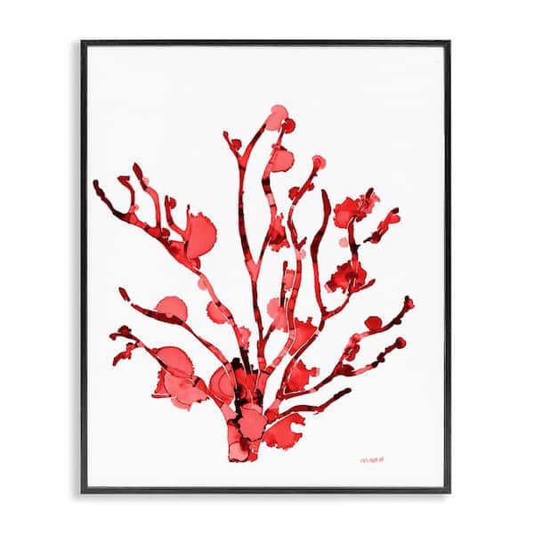 Stupell Industries Coral With Splashes by Patti Mann Black Framed Coastal Giclee Art Print 14 in. x 11 in.
