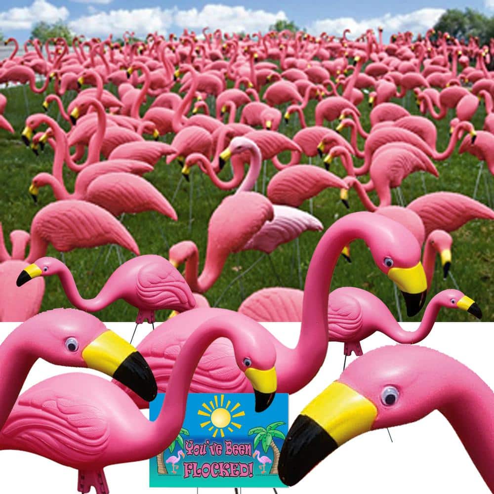 Bloem Pink Plastic Flamingos Garden Yard Stake Decor (50-Pack) BULK G2-50 -  The Home Depot