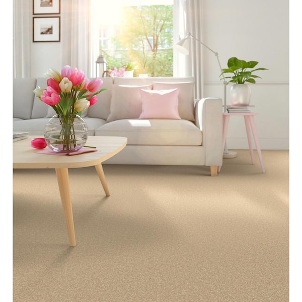 Park Royal - Color Pebble Beige 52 oz. Nylon Texture Installed Carpet