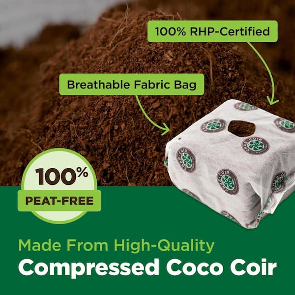 CHAR COIR 32-Count Coco Cube 1-Gal RHP Certified Compressed Coco