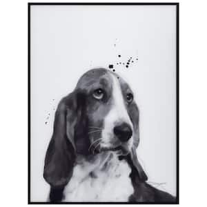 "Basset Hound" B and W Pet on Printed Glass Encased with a Gunmetal Anodized Frame Animal Art Print, 24 in. x 18 in.