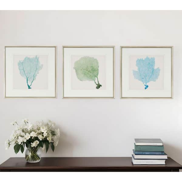 3 Piece Framed Graphic Print Nautical and Beach 25.00 in. x 25.00 in.