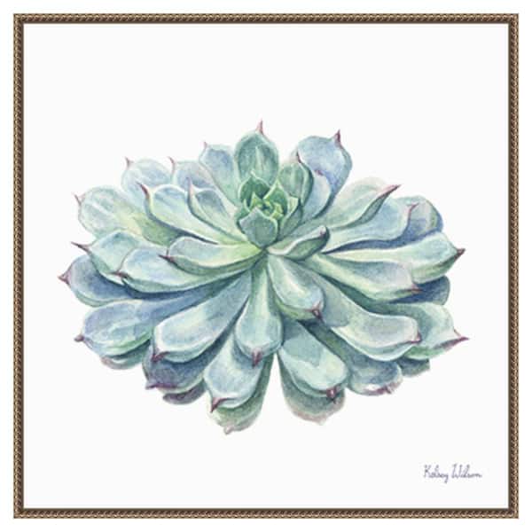 Amanti Art Single Succulents I by Kelsey Wilson 30 in. W x 30 in. H Canvas Float Frame in Bronze