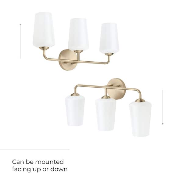 Progress Lighting Celino 23.5 in. 3-Light Champagne Bronze