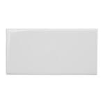 Essential White 3 in. x 0.35 in. Polished Ceramic Floor and Wall Subway Tile Sample