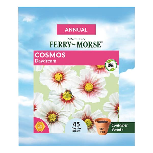 Ferry-Morse Cosmos Daydream Flower Seed