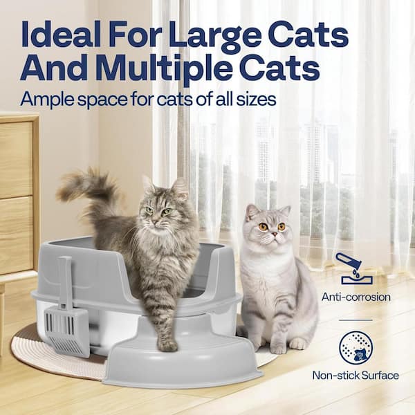 Non stick cat litter box best sale