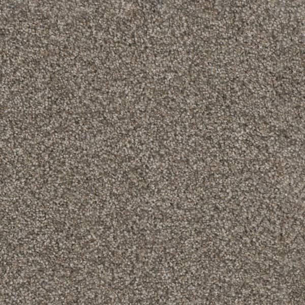 Home Decorators Collection Affectionate I - Charmed - Beige 40 oz. SD Polyester Texture Installed Carpet