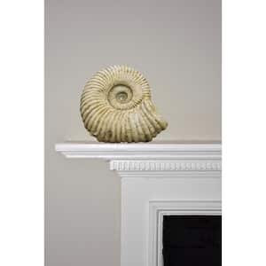 9 in. Fossil Upward Facing