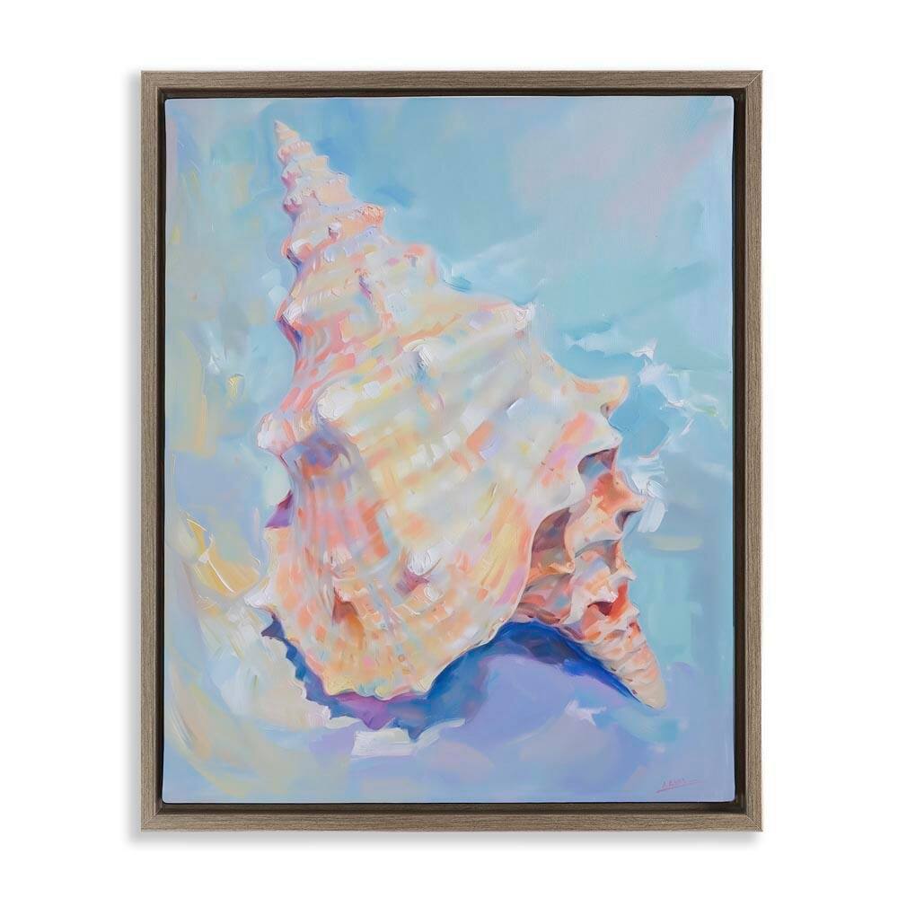 Coastal Conch Shell by Arlington Prints Brown Floater Frame Animal Graphic Art Print 21 in. x 17 in. price history on PriceWatchPro