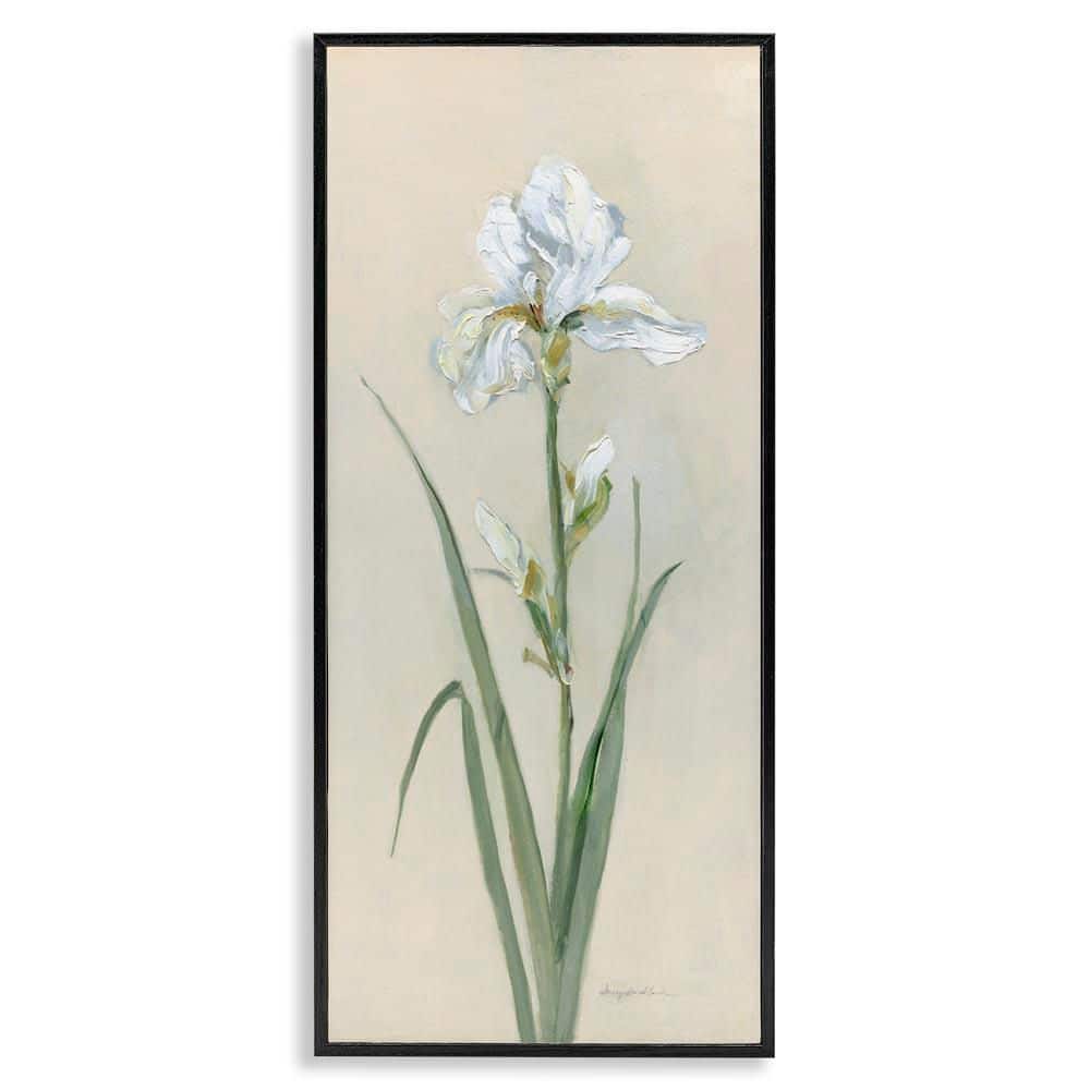 White Iris on Beige by Sally Swatland Black Framed Nature Giclee Art Print 24 in. x 10 in. price history on PriceWatchPro