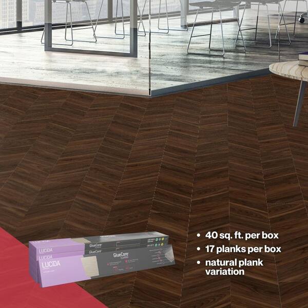 Lucida USA (Sample) Gluecore Angled Walnut Brown Wood Look 22-mil Glue Down Luxury Vinyl Plank