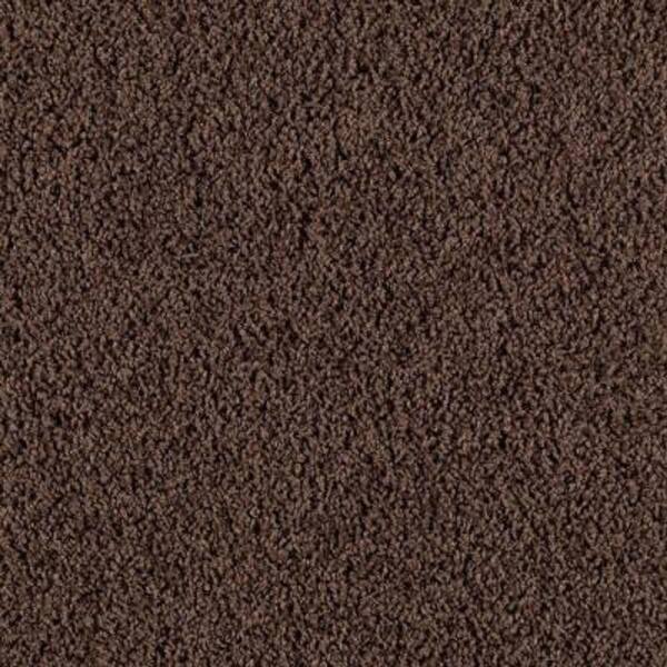 Lifeproof Carpet Sample - Bassano I - Color Rich Earth Twist 8 in. x 8 in.