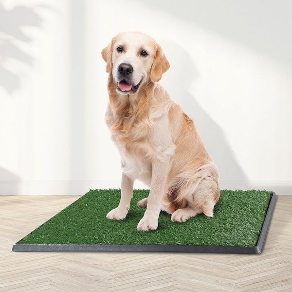 Dog Potty Tray Puppy Pads, Puppy Pee Pad Holder, Pet Pads Dog Wee