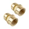 brass-littlewell-polyethylene-pipe-fittings-acpf8fpt12x2-64.0