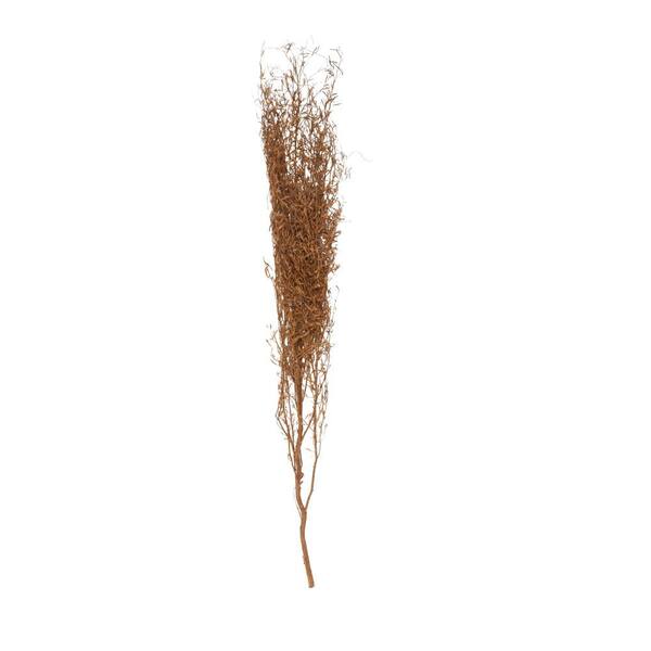 Tall Sticks Natural Foliage (One Bundle)