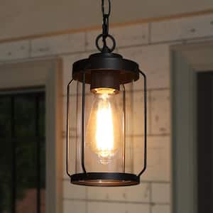 Modern Black Outdoor Hanging Light, Spera 1-Light Lantern Cage Garage Outdoor Ceiling Lights with Clear Shade