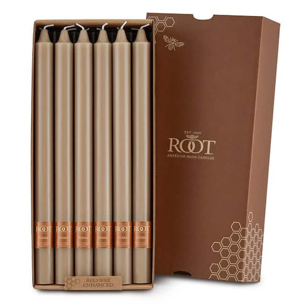 ROOT CANDLES Smooth Arista 12 in. Taupe Beigr Unscented Taper Candle (Set of 12)
