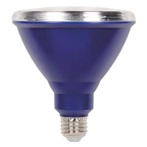 100W Equivalent Blue PAR38 LED Weatherproof Flood Light Bulb