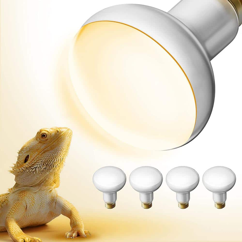 heat light bulb for bearded dragon