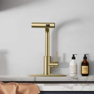 Single Handle Pull Down Sprayer Kitchen Faucet with Advanced Spray, Pull Out Spray Wand in Gold