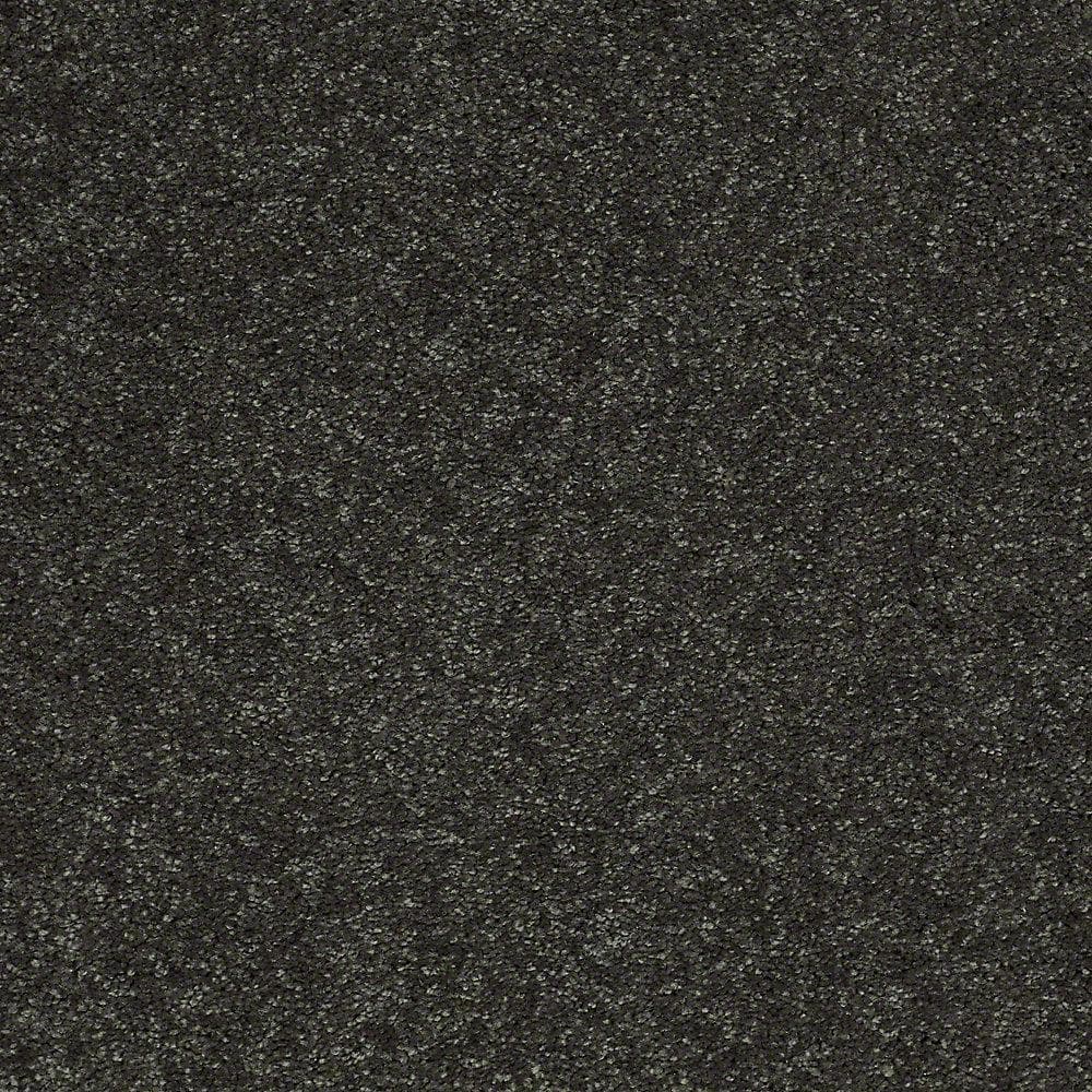 8 in. x 8 in. Texture Carpet Sample - Brave Soul II - Color Laurel price history on PriceWatchPro