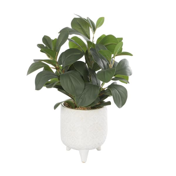 Litton Lane 14 in. H Artificial Ficus Plant
