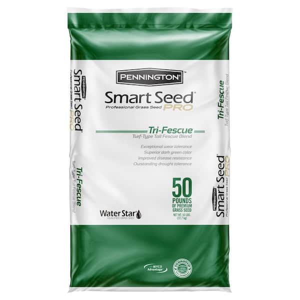 Smart Seed Professional Tri-Fescue Tall Fescue 50 lbs. 5,000 sq. ft. Grass Seed