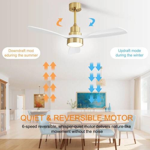 Glide 48 in. Indoor Gold Ceiling Fan with Lights, Remote Control and Reversible Motor for Living Room,Bedroom Ceiling Fans With Lights