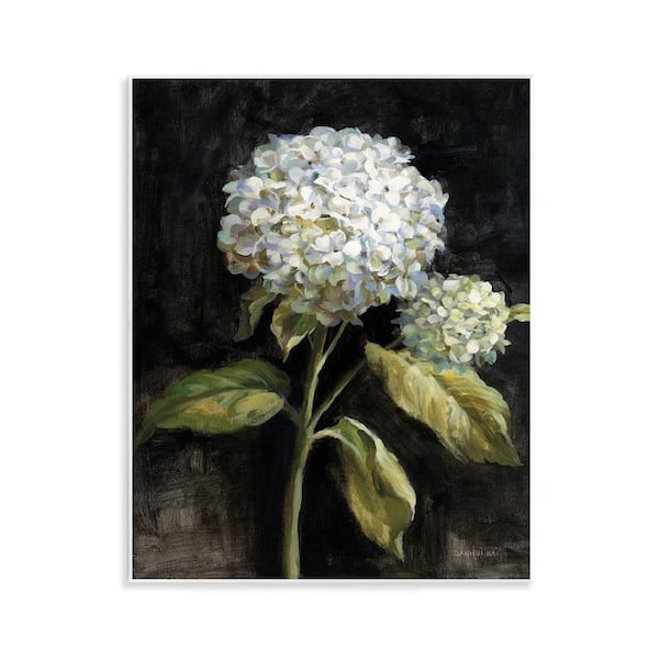 Stupell Industries Hydrangea on Black by Danhui Nai Unframed Nature Graphic Art Print 14 in. x 11 in.